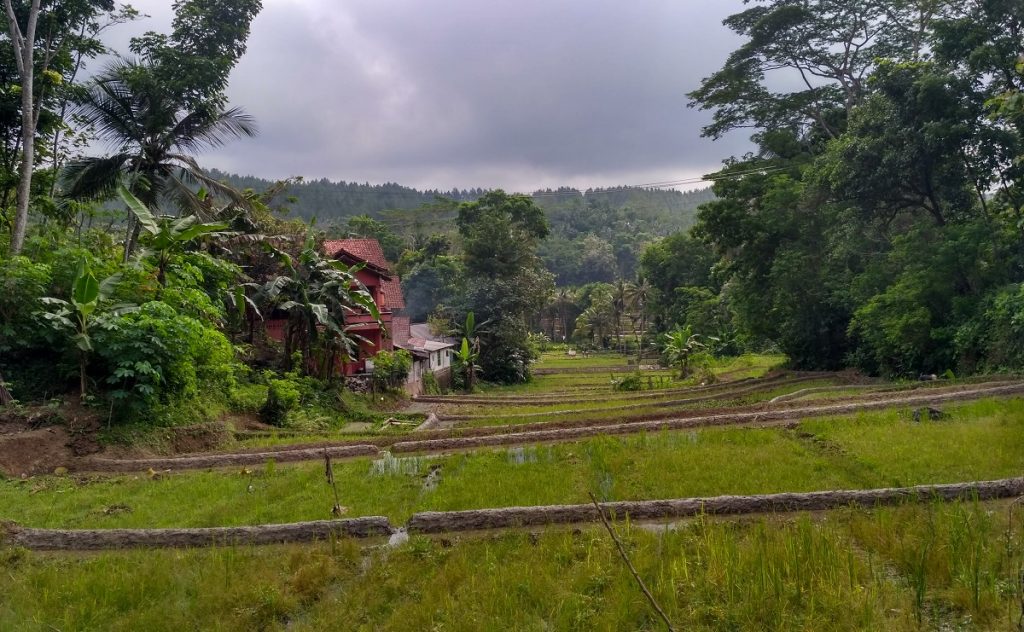 toponimi banyumas cilongok ciwaru