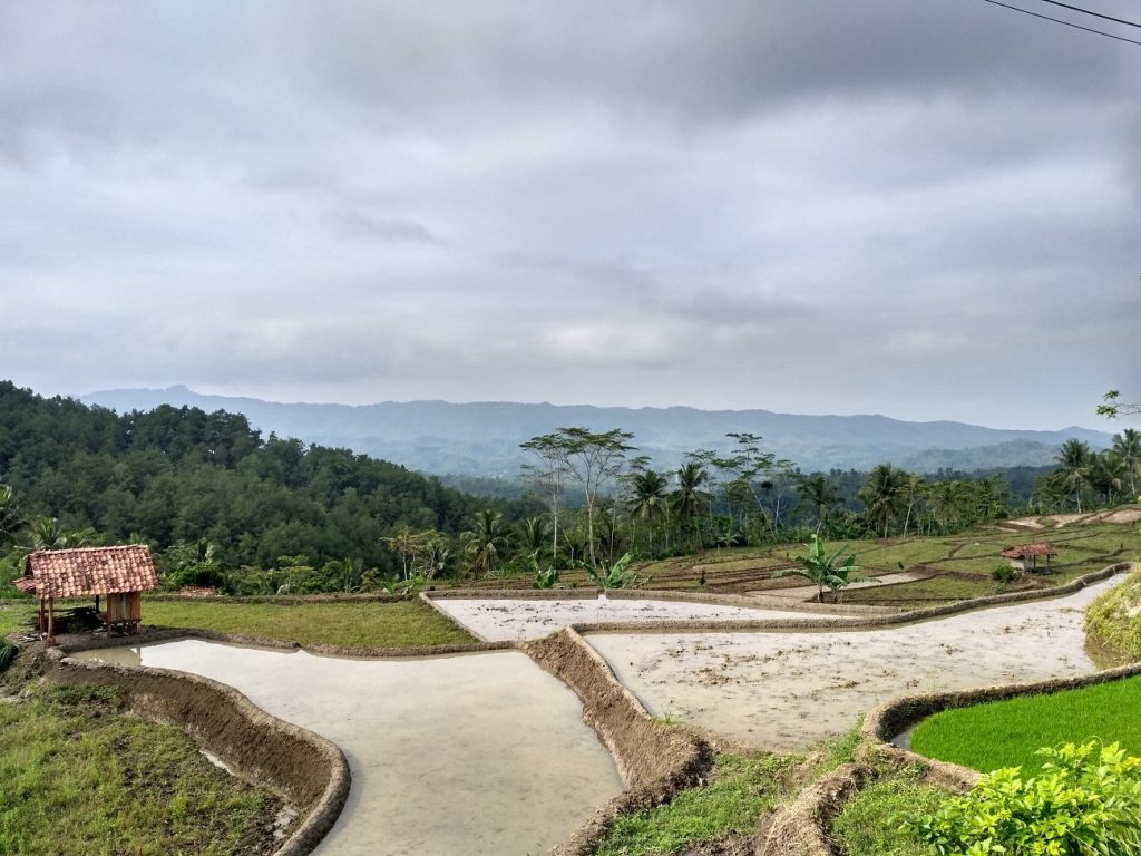 toponimi banyumas lumbir dermaji sawah igir