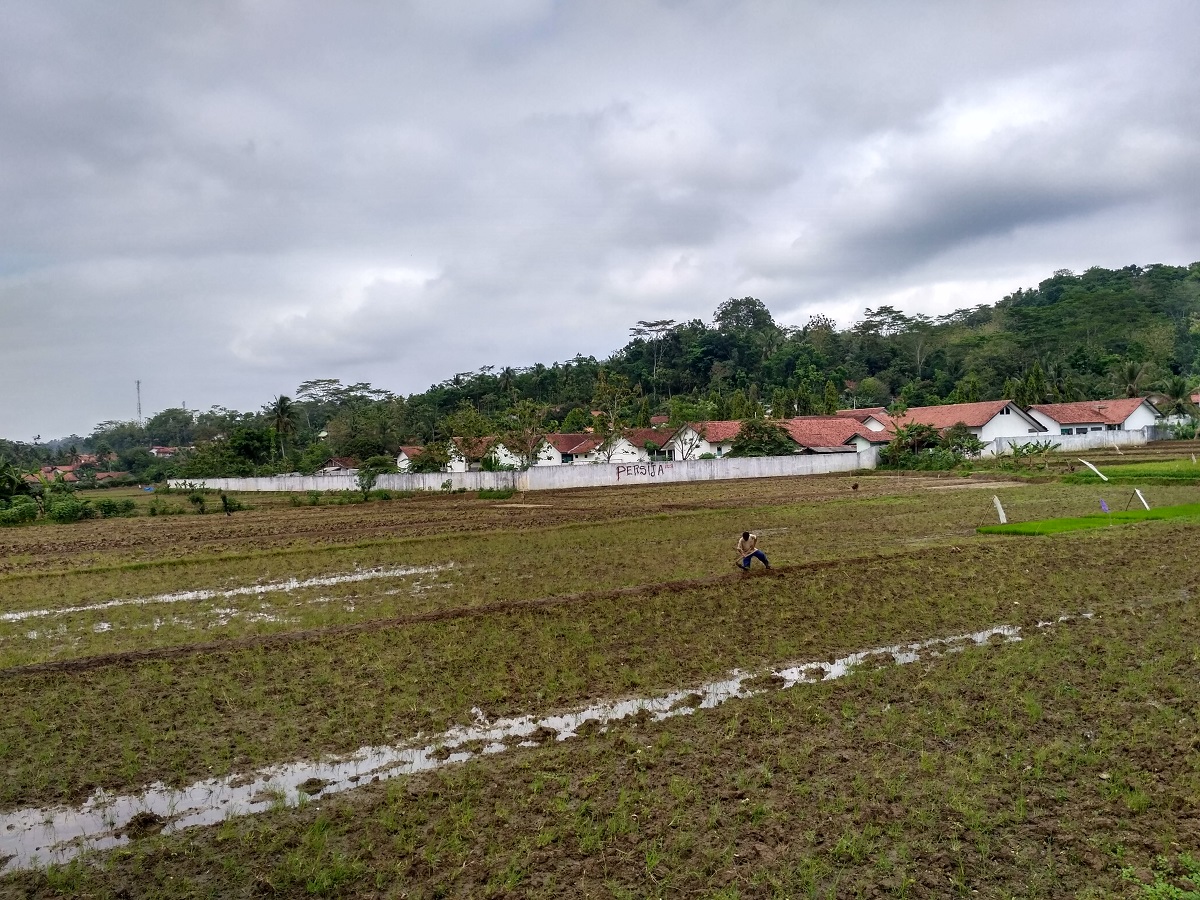 toponimi banyumas wangon pangadegan
