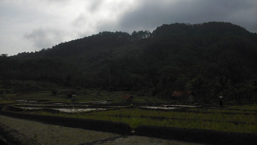 toponimi banyumas wangon randegan