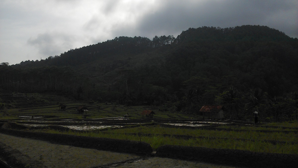 toponimi banyumas wangon randegan