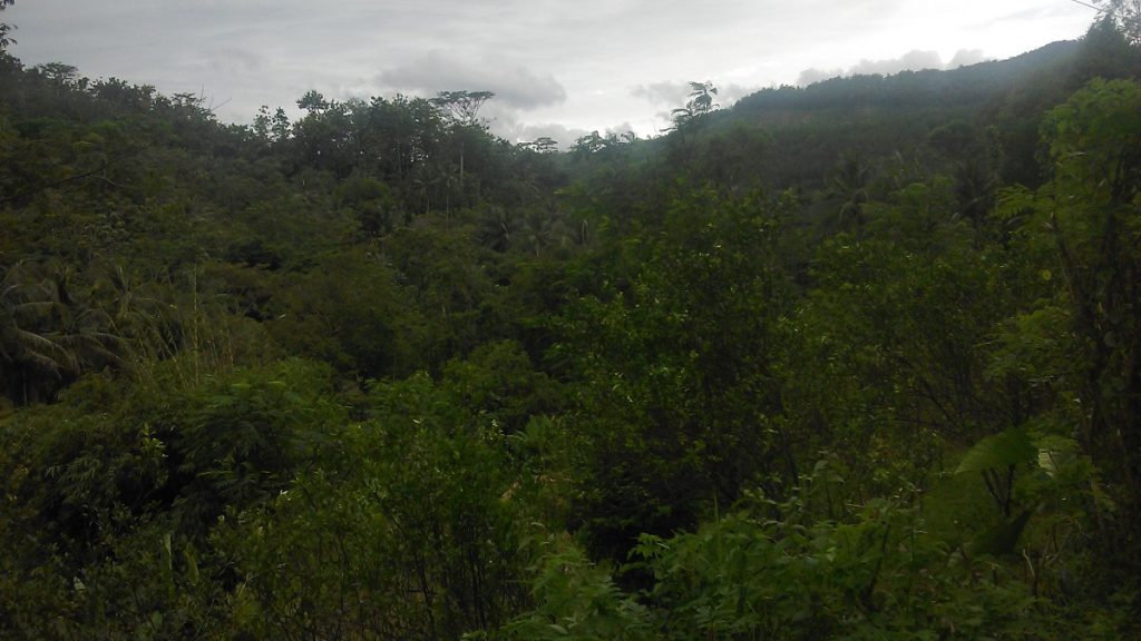 toponimi cilacap cimanggu cisalak