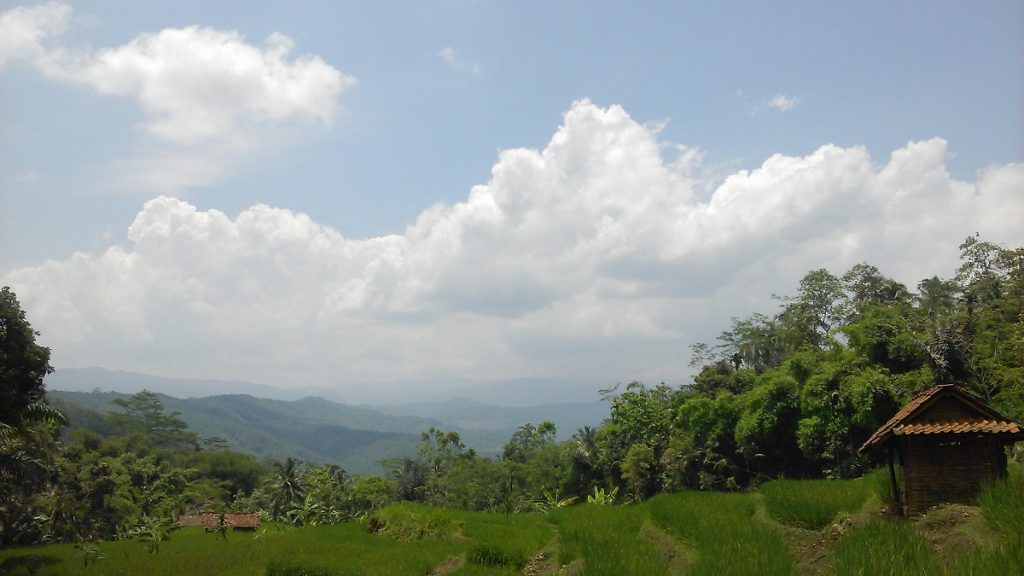 toponimi cilacap cimanggu negarajati sawah