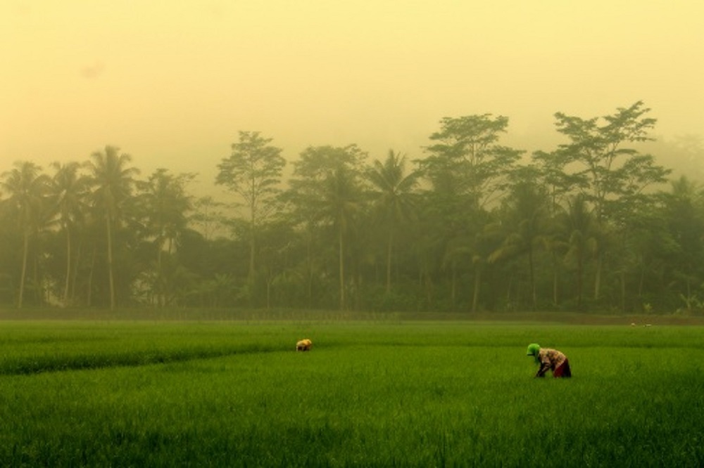 toponimi cilacap karangpucung surusunda